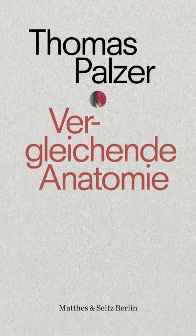 Thomas Palzer Roman, Vergleichende Anatomie. Matthes & Seitz Berlin.